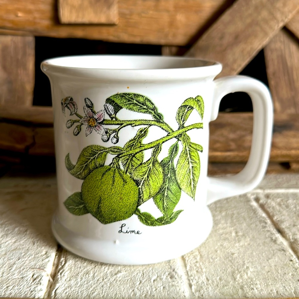 Vintage Lauffer Lime Historical Narrative Stoneware Tea Coffee Mug (48)